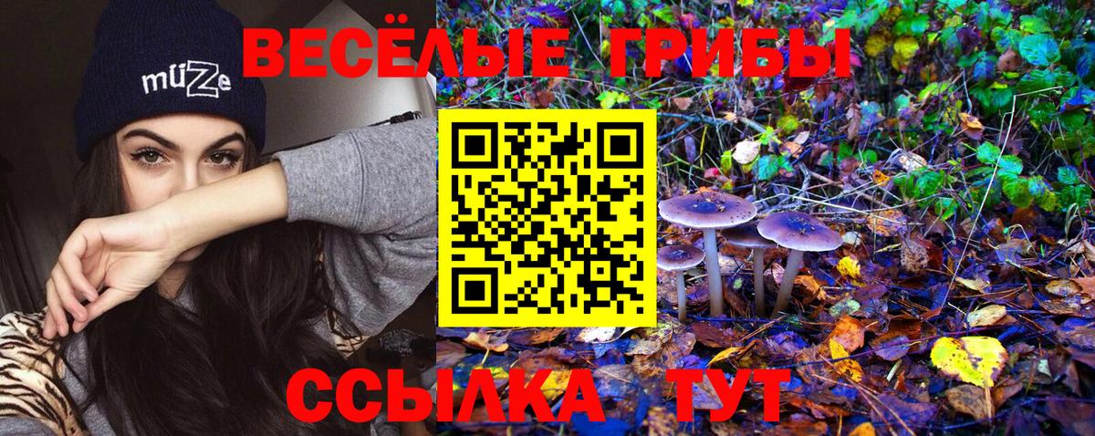 Галлюциногенные грибы мицелий  Вход с VPN  Отрадный  Псилоцибиновые грибы мицелий 