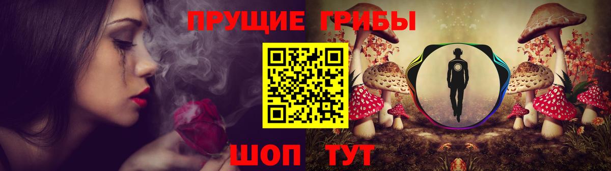 Галлюциногенные грибы прущие грибы Отрадный